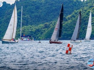 pyc-yachting-festival-2026-day3-start-line-monohulls